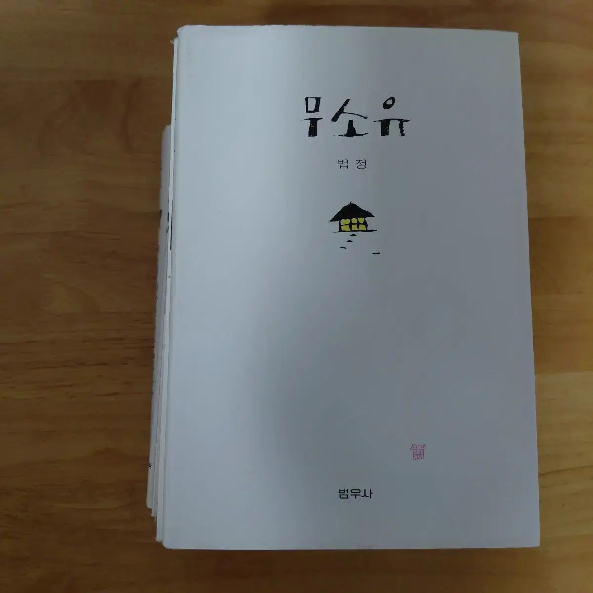 ポッチョンサニム 無所有