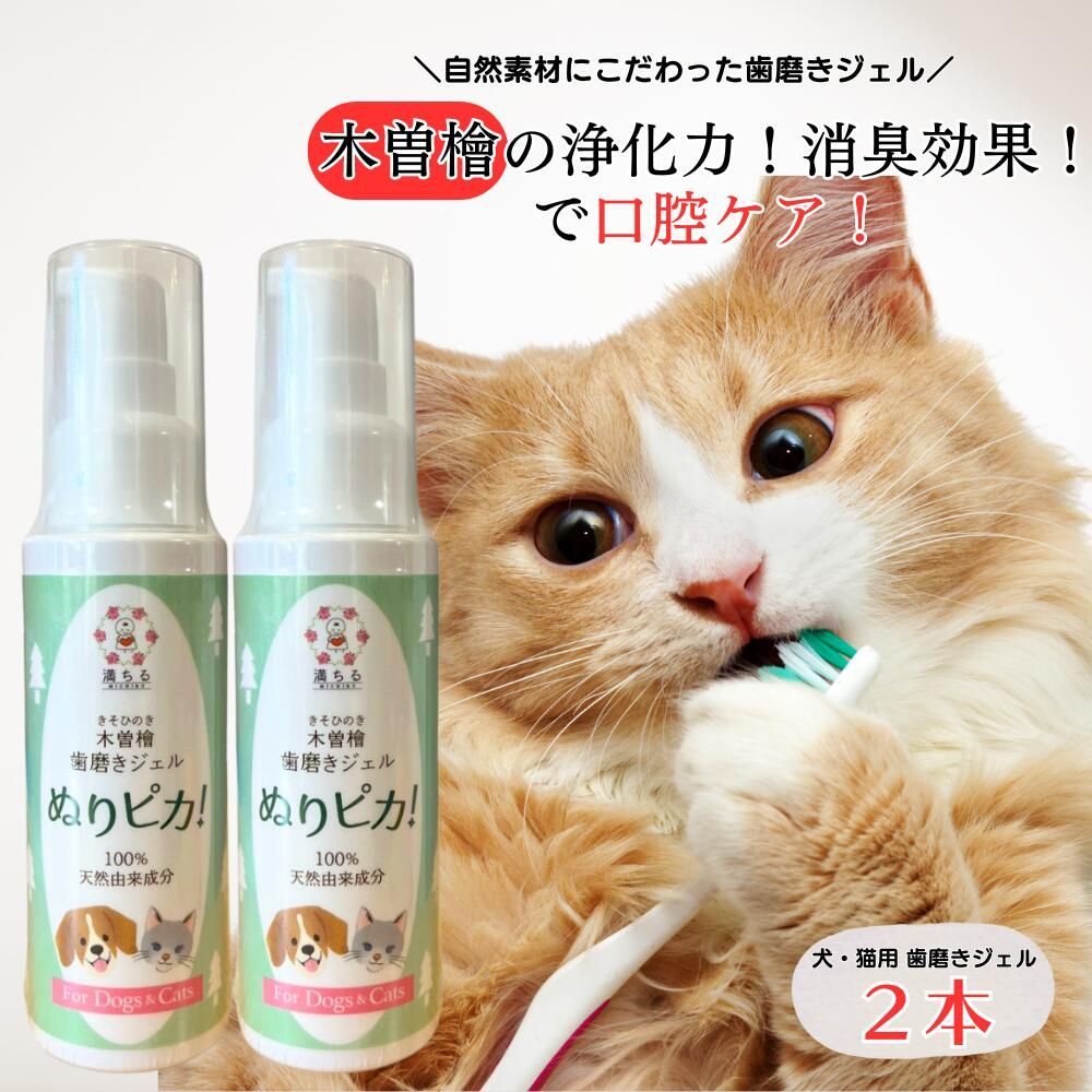 犬 猫 木曽檜歯磨きジェル ぬりピカ 80 g ペット用 デンタルケア 口臭 歯石 口腔 歯磨き粉 満ちる 2本セット