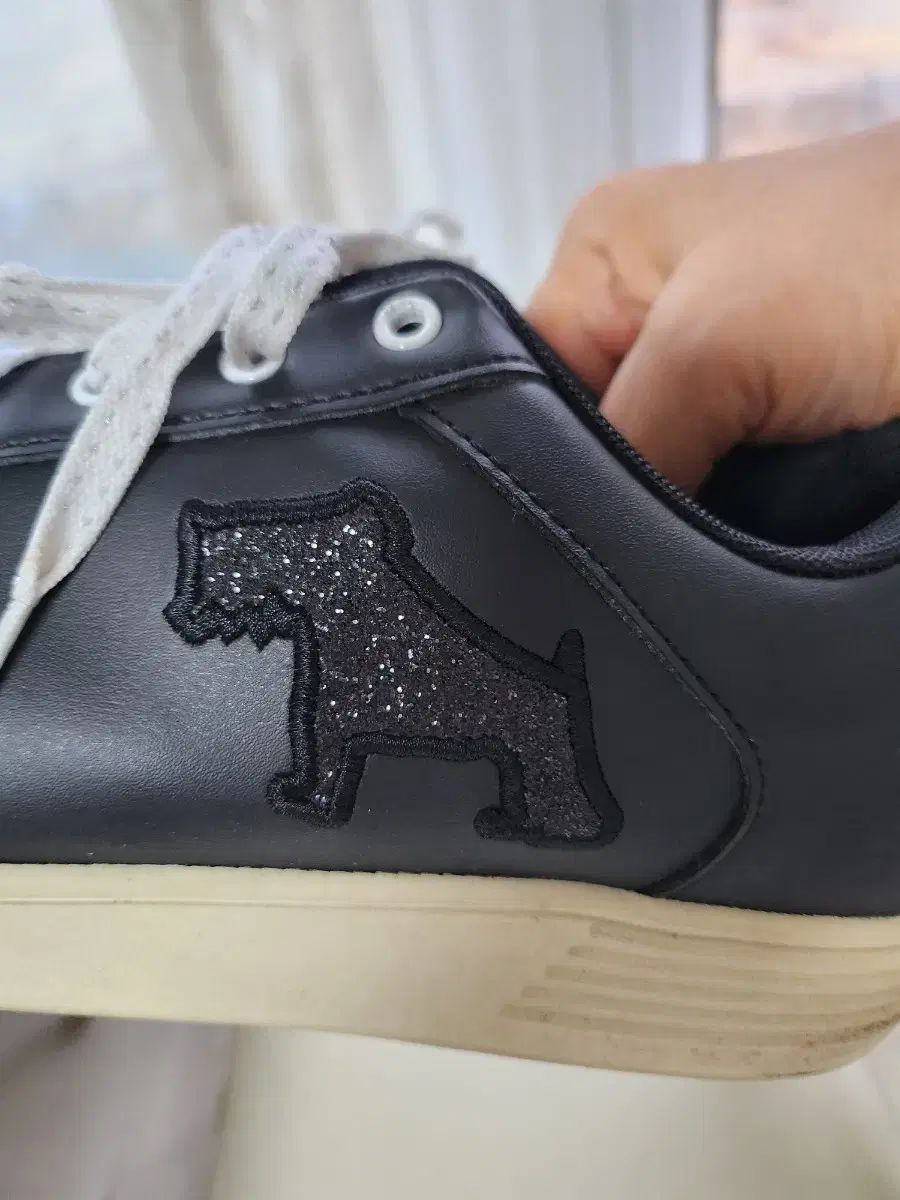 PRADA 三つ折り財布 ベージュ（PRADA新作SAFFIANO二つ折り財布