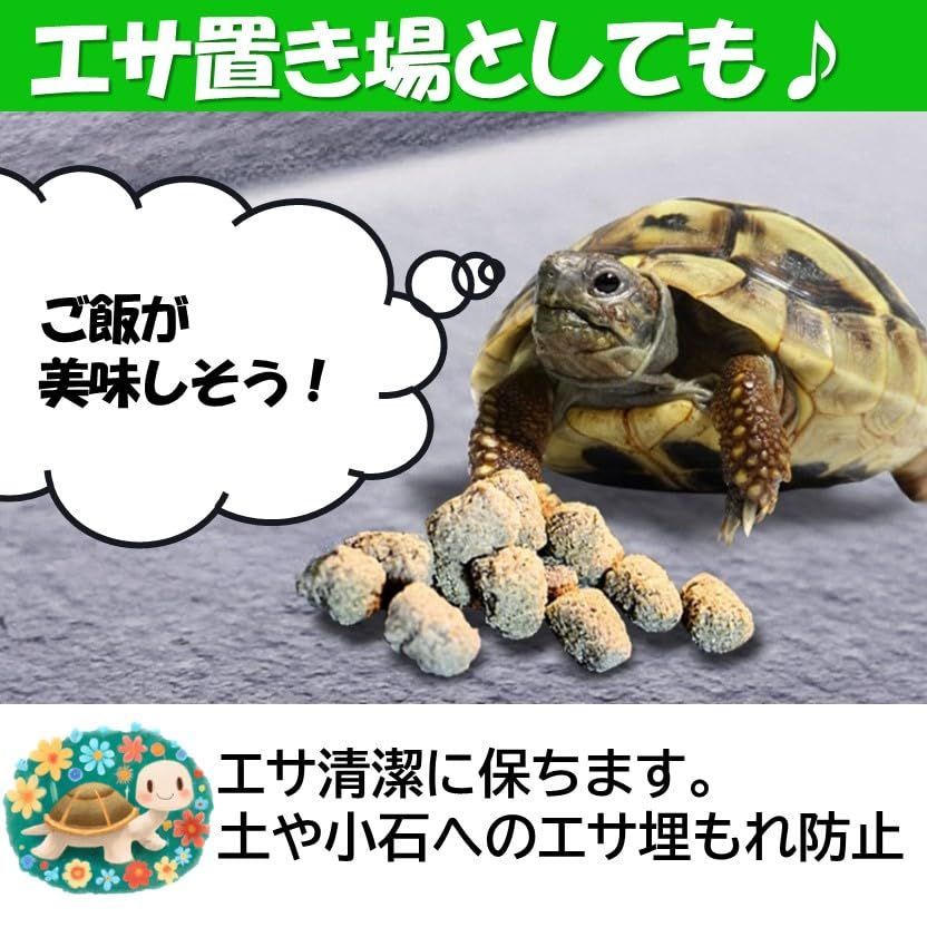 在庫セール】陸地 爬虫類 床材 リクガメ 床材 床材 カメ 爪き