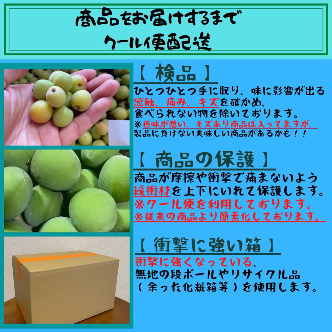 南高梅 青梅