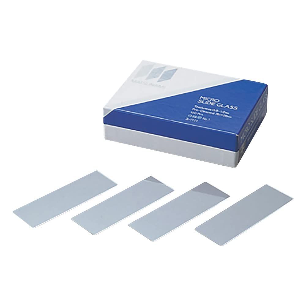 127mm】スジバネトゲフチオオウスバカミキリ ブルウスバカミキリ