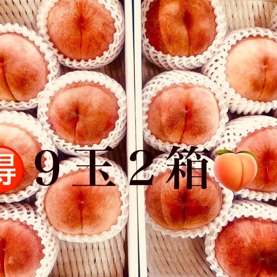 🉐2箱🍑川中島白桃✨🍑9玉3キロ2箱🍑贈答品 - メルカリ