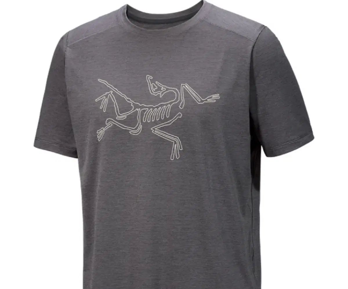 ARC TERYX アークテリクス 鼻腔 Tシャツ L