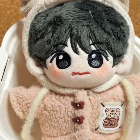 enhypen ヒスン　ぬいぐるみ　10cm 新品　マスター