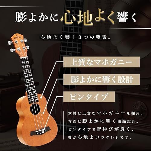 新品※未使用] ソプラノ ウクレレ 初心者セット 楽譜付き 10点
