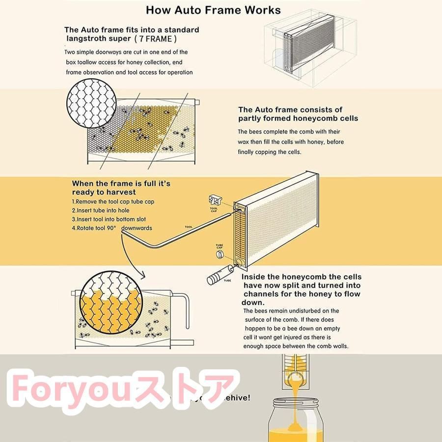 ミツバチ飼育