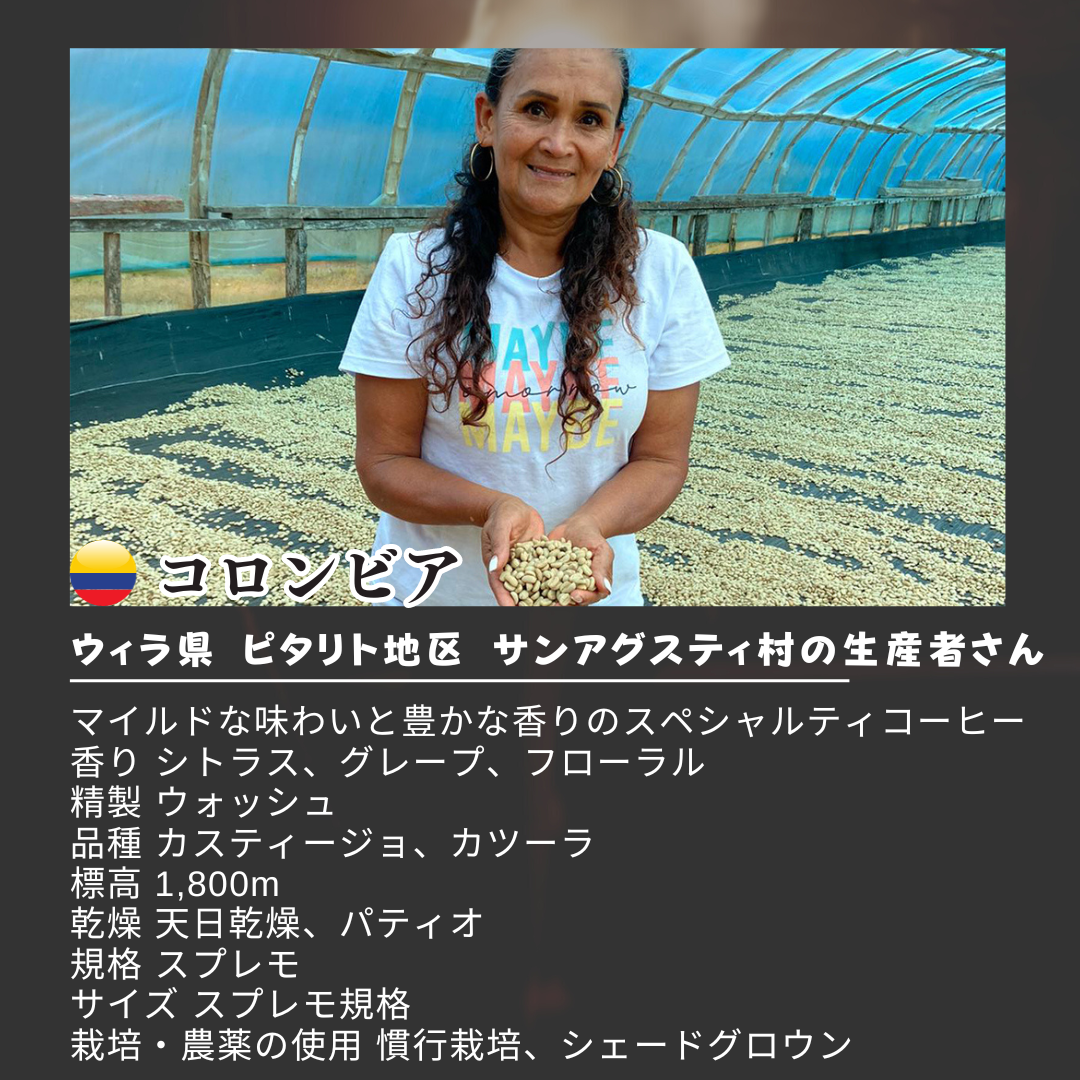 選べる3種 健康新鮮ドリップコーヒー 12個 可愛い猫柄 ねこのめ珈琲 ハンドピック済 炭火自家焙煎コーヒー豆 お土産用にもどうぞ