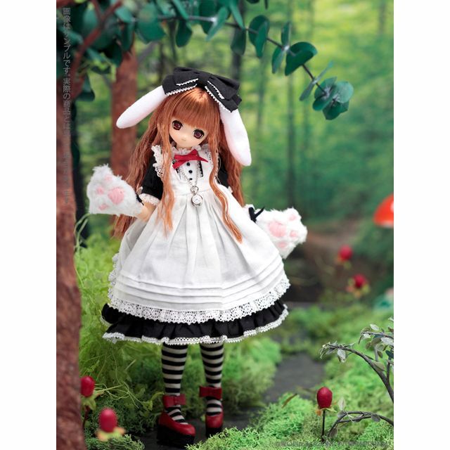 アゾン　ひめの本体 AZONE INTERNATIONAL::えっくす☆きゅーと::商品詳細