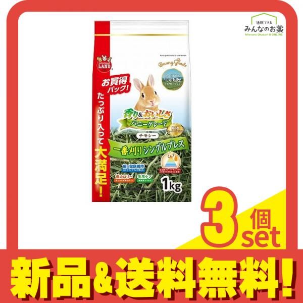 新品未使用 一蘭 どんぶり さかずき 箸 レンゲ 福袋 2026 午 丼 食器