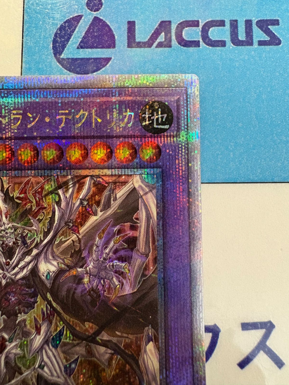 遊戯王 冥骸王メメントラン・テクトリカ/冥骸王メメントラン