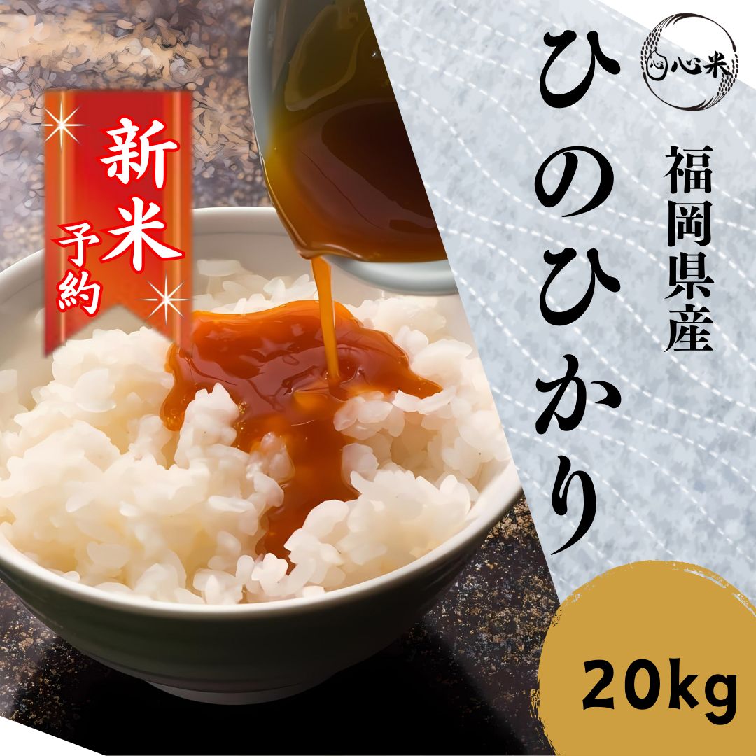 ひのひかり 20kg 新米
