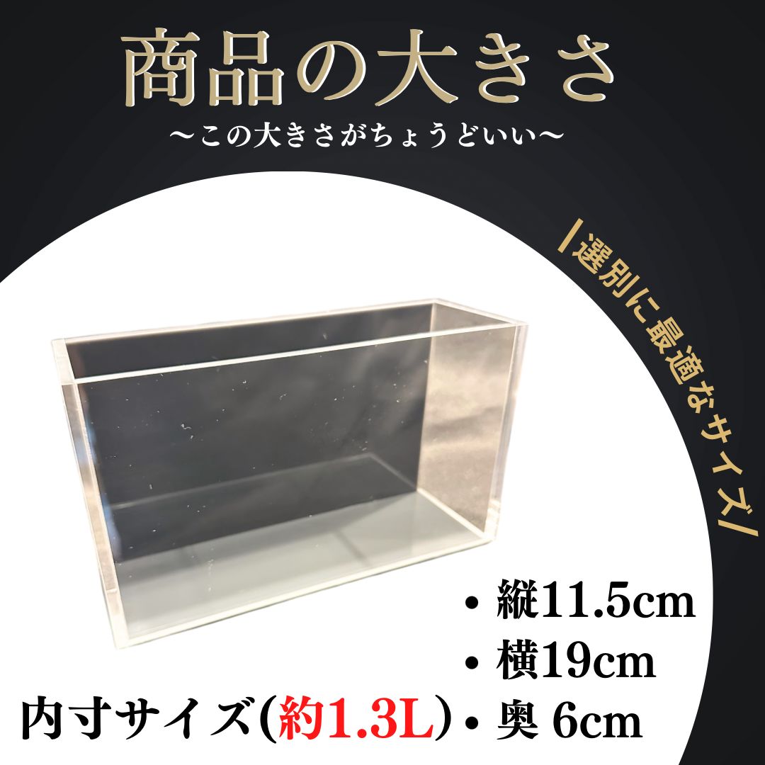 五藤めだか】選別特化AB品(グレー) メダカ用 ケース 撮影 横見 - メルカリ