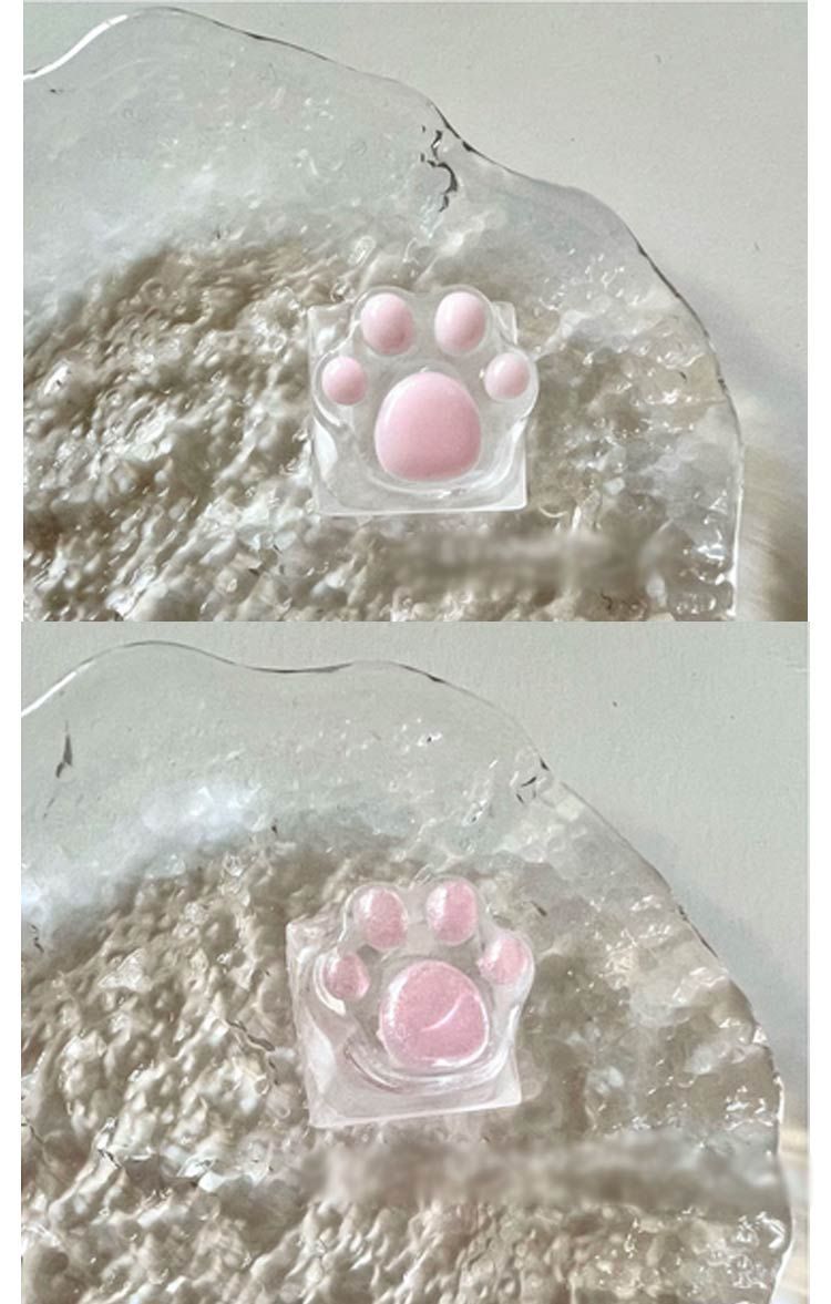 肉球もちもち 280053.jpg