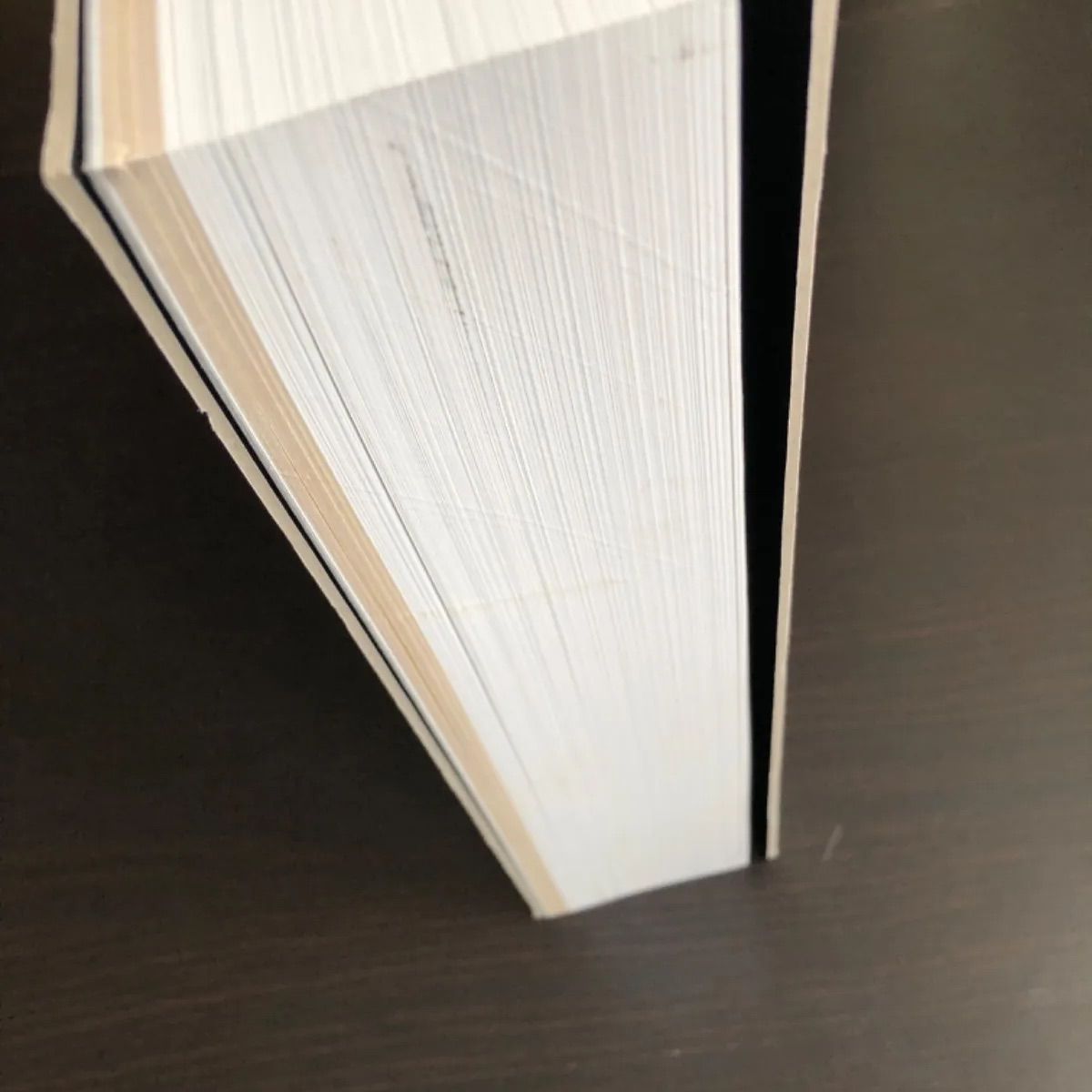中古】 Raymond Pettibon Homo Americanus Collected Works レイモンド