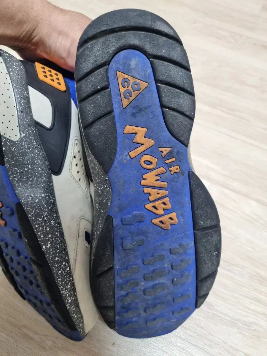 ナイキ ACG