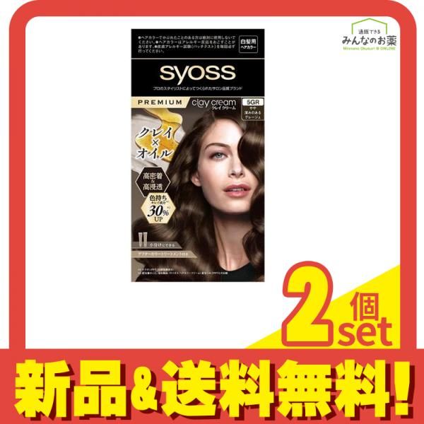syoss(サイオス) クレイクリーム ヘアカラー 5GR やや深みのあるグレージュ 1組入 2個セット まとめ売り