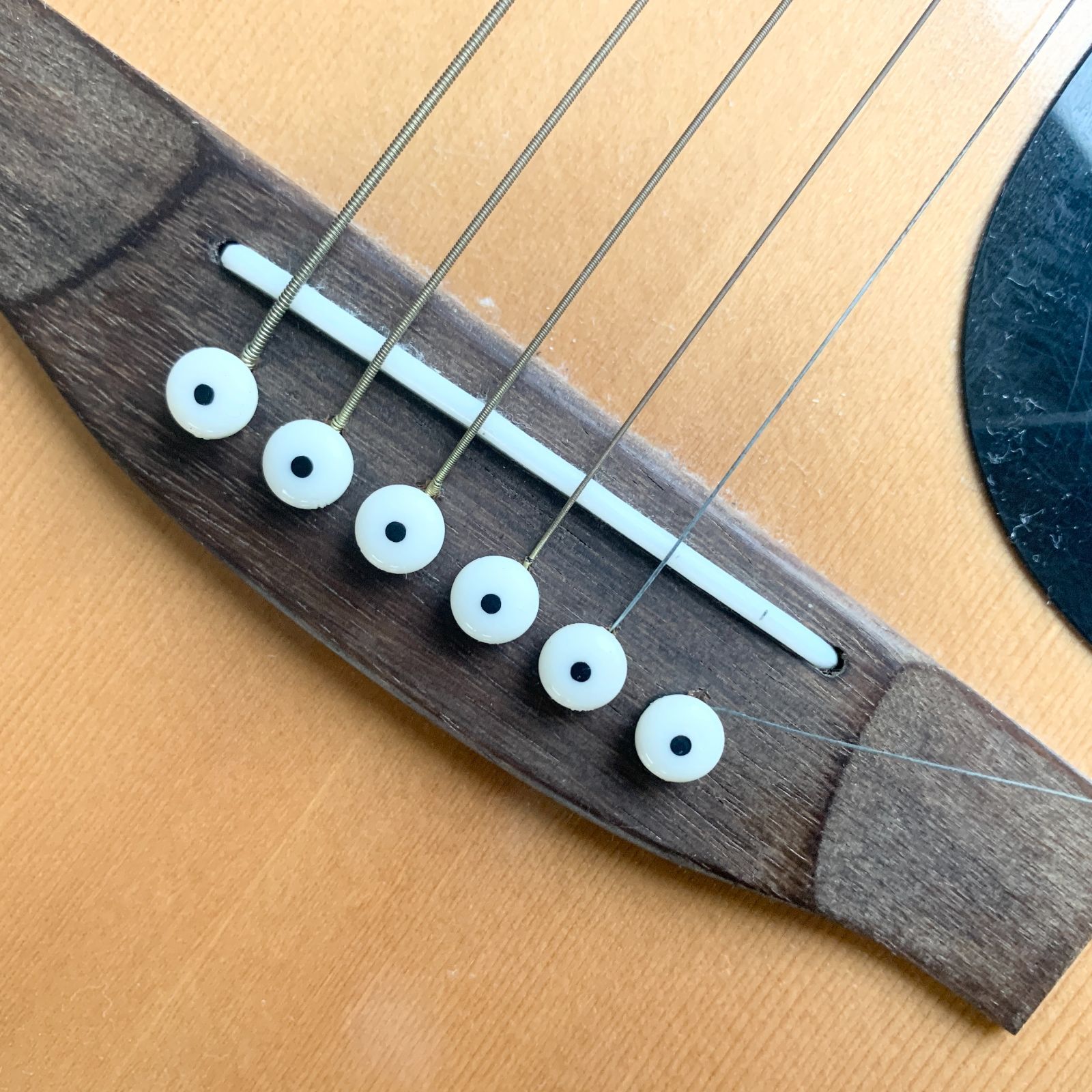 ARIA（楽器） Aria W-200 Acoustic Guitar アコースティック