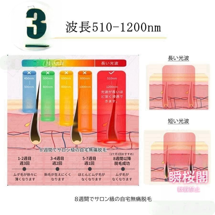 男女兼用 全身快速脱毛
