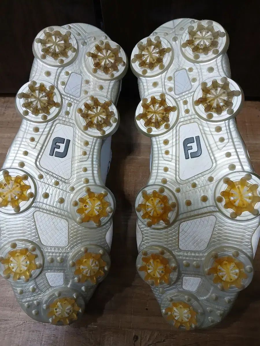 FootJoy フットジョイ