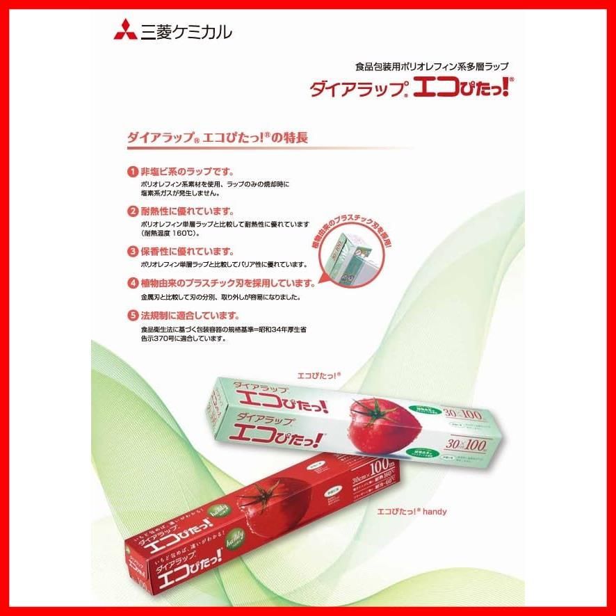 ダイアラップエコピタッ