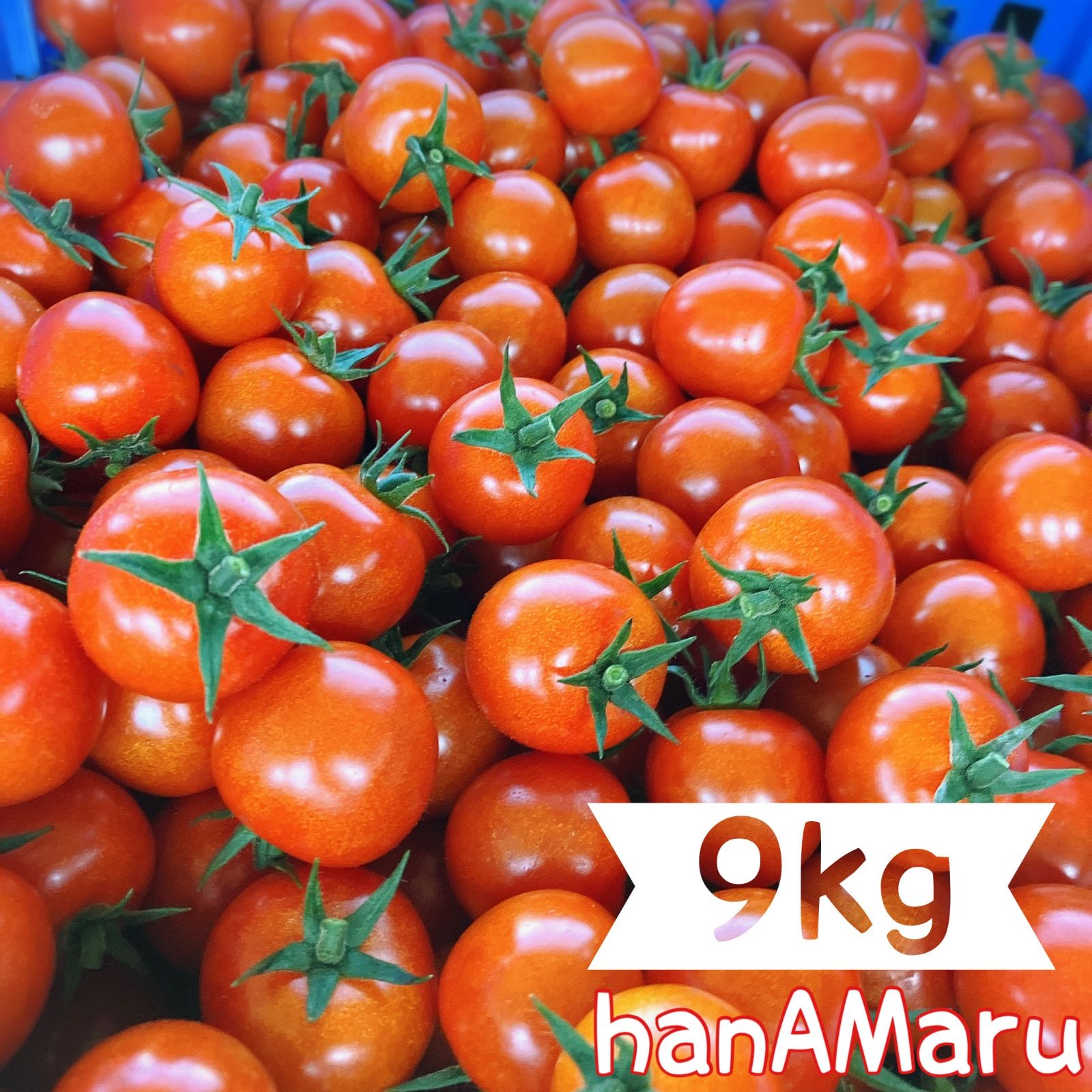 ⭐️SALE⭐️ミニトマト 9kg 完熟冷凍ミニトマト 1 8 パチャママ農園 