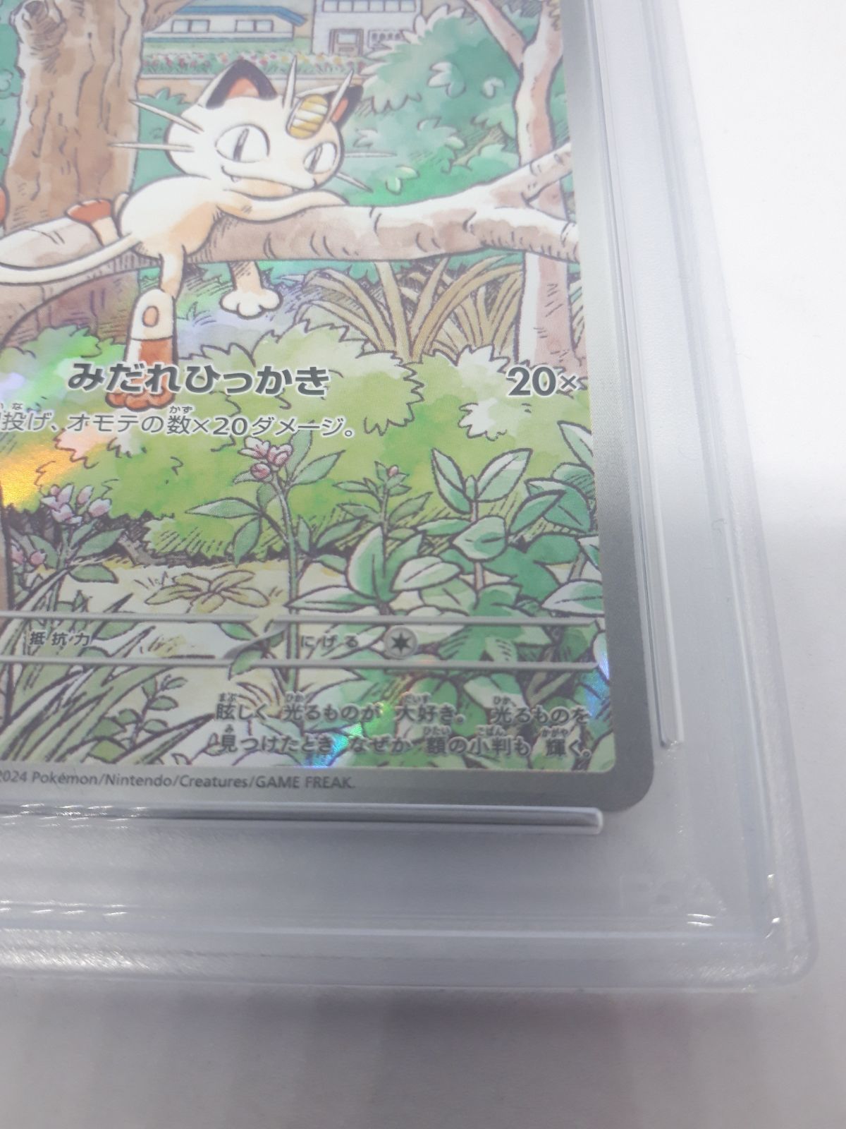 ポケカ ニャース