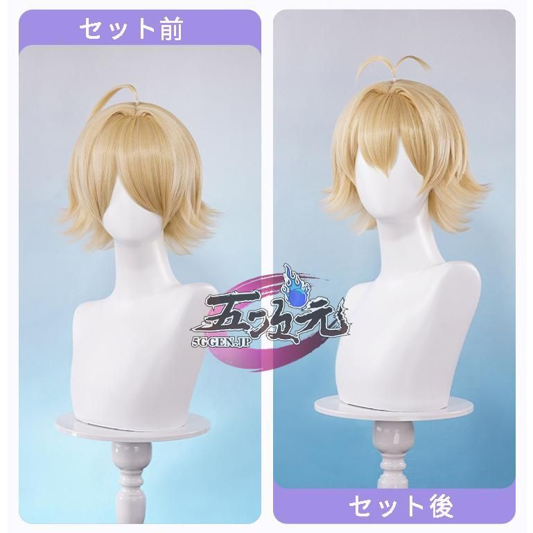 三分妄想 桜蘭高校ホスト部 コスプレ ウィッグ ハルヒ・須王環・ハニー先輩