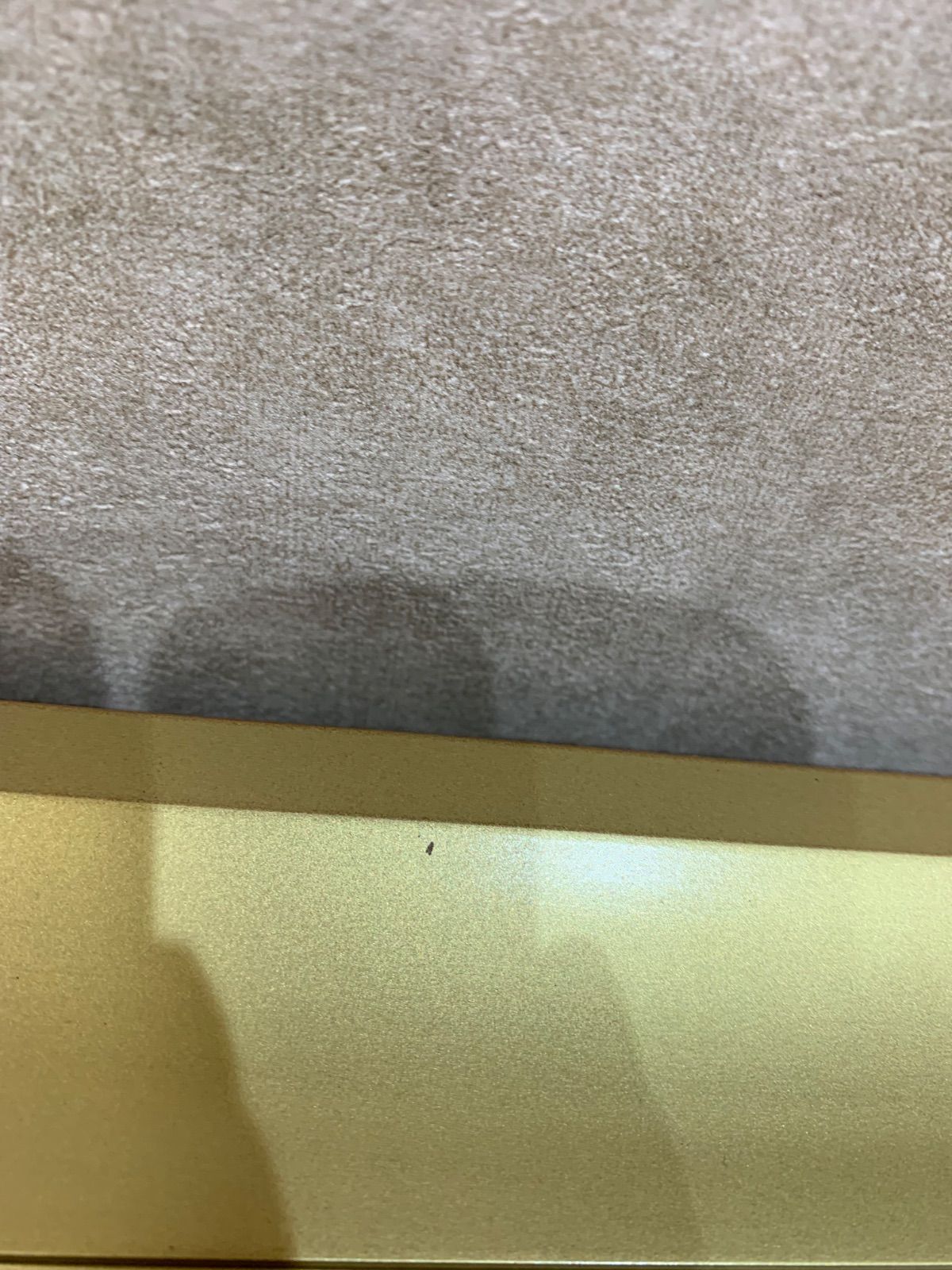 3-2629 木版画 奥村土牛『ガーベラ』21/200 3-2629 木版画 奥村土牛