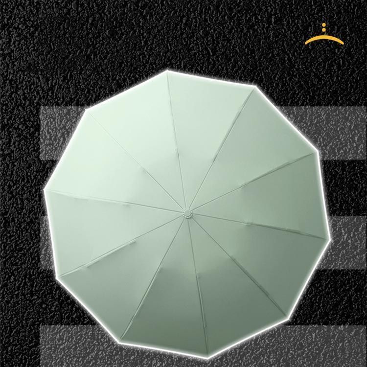 10本骨 晴雨両用