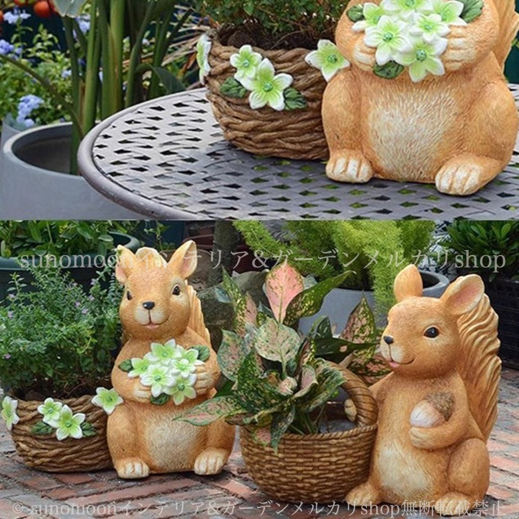 動物 小動物