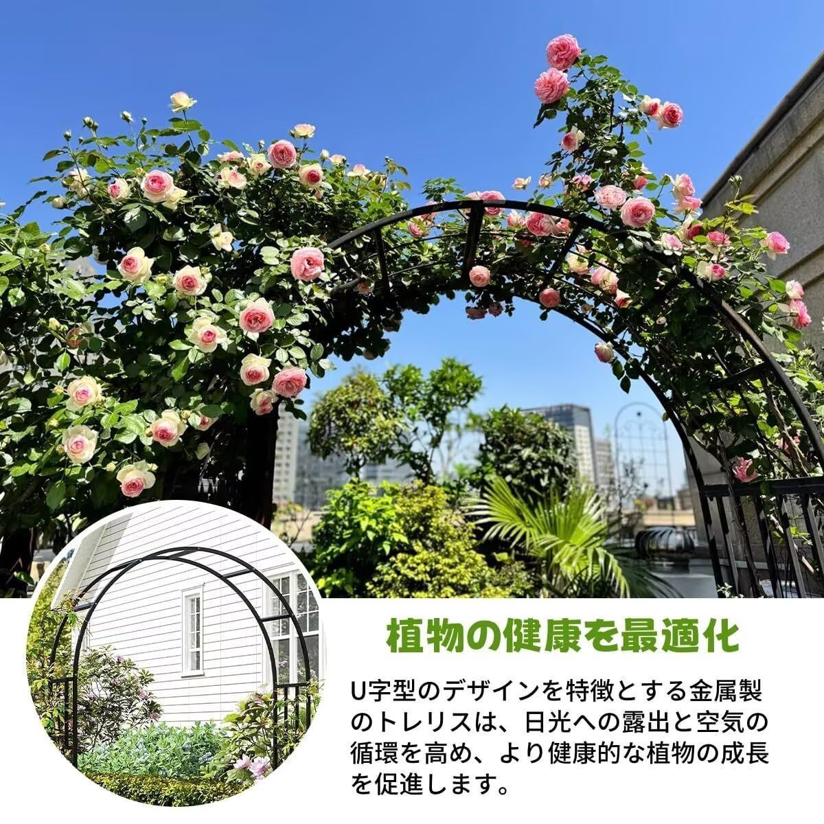 TUIYIDUO ガーデンアーチ フラワーアーチ バラアーチ 幅150x高さ240.5cm 錆びない 屋外つる植物支持 トレリス クライミング植物用 ウェディング 芝生 パーティーデコレーション 組立簡単 庭 DIY 園芸 日本語説明書付き ブラック WWW_GEBZETESISAT_COM_TR