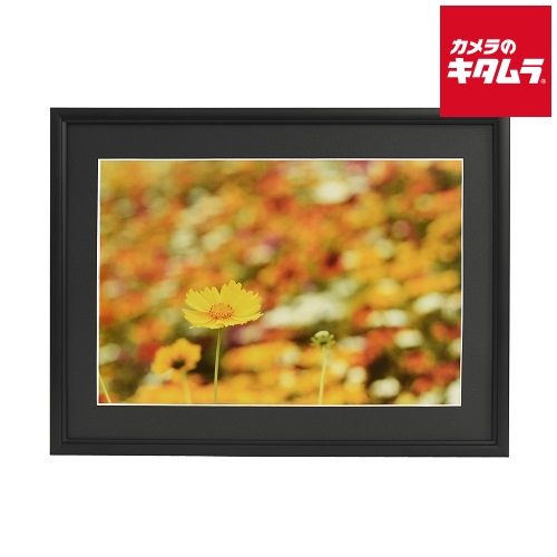 開運絵画 オリジナル 天使の羽根 龍の鱗