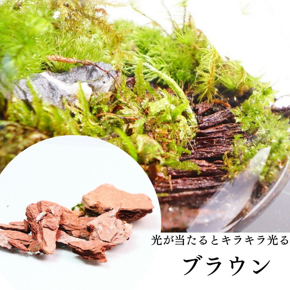 【MIXサイズ】1-5cm全4種 階段レイアウト 飾り石  ボトルテラリウム 苔テラリウム レイアウト石 アクアリウム アクアテラリウム 素材 赤 黒 ブラウン シルバー MIX
