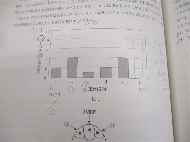 駿台 生物S Part1/2 テキスト通年セット 2024 計4冊 047M0D-激安