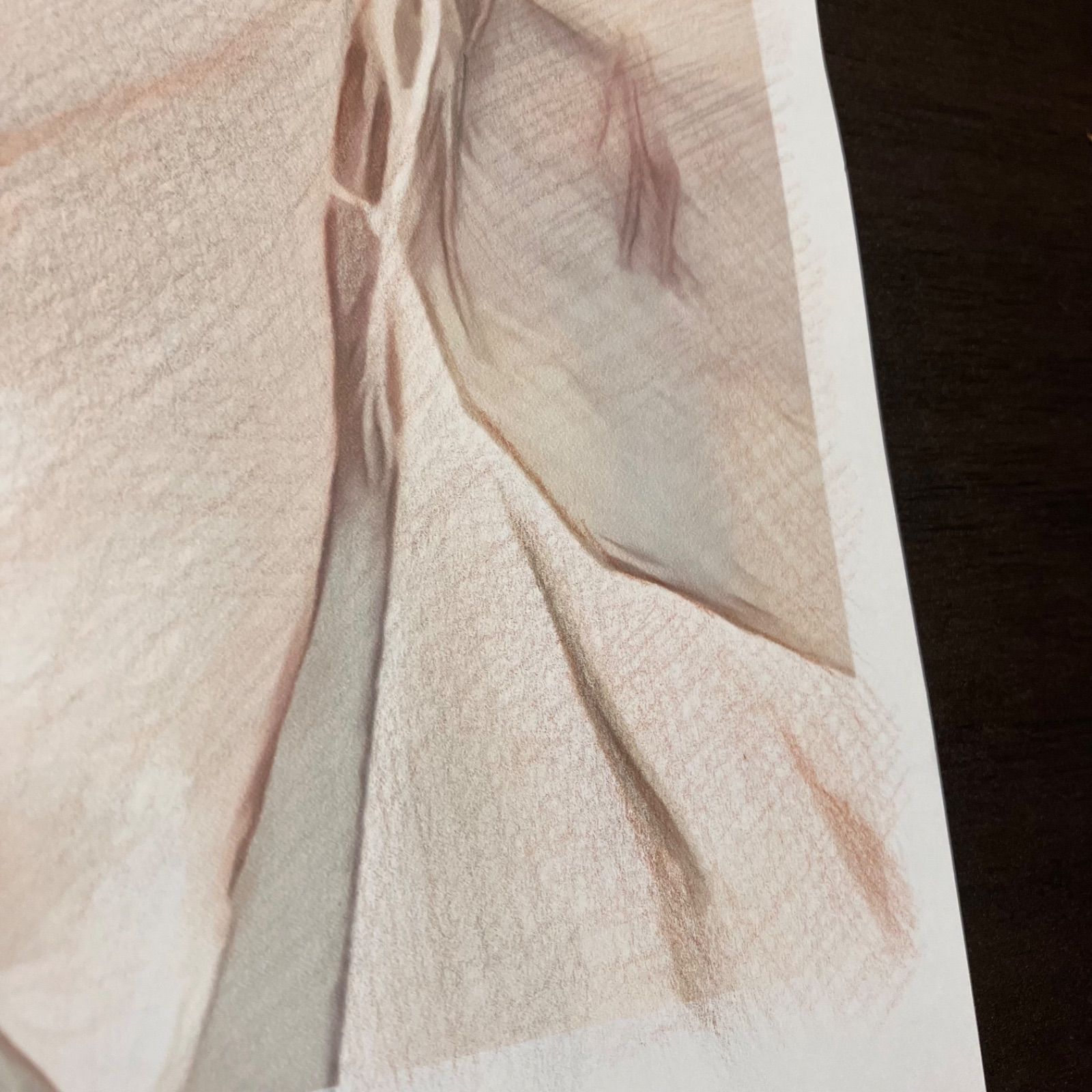 女優画④ 額装品　額縁寸法32.7㎝×24.0㎝×1.5㎝　色鉛筆画　定款付 女優画18 額装品 額縁寸法32.7㎝×24.0㎝×1.5㎝ 色鉛筆画 定款付