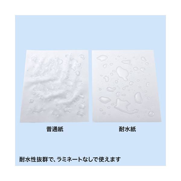 耐水紙