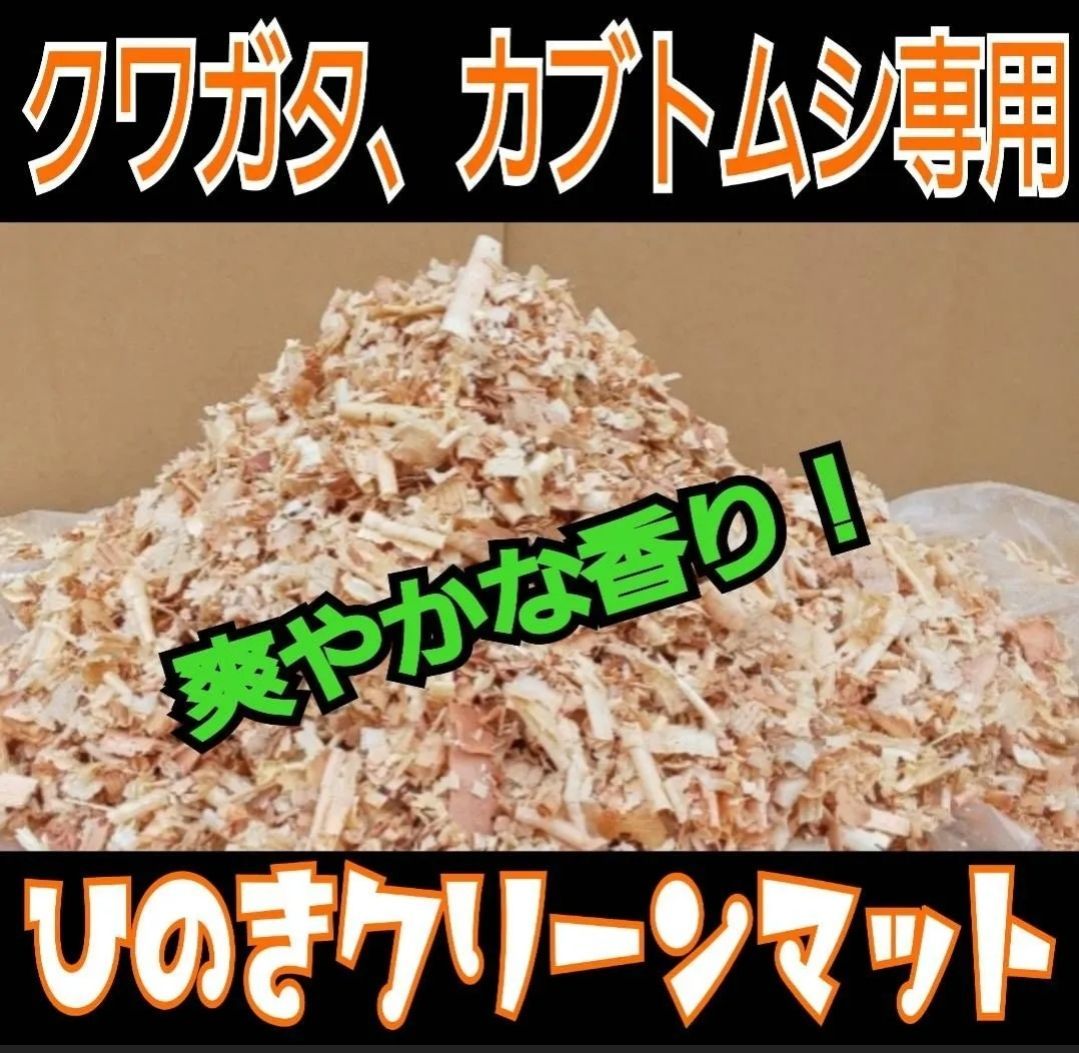 カブトムシ クワガタの成虫飼育はコレ１番です