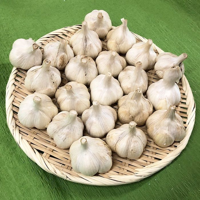 青森県産 にんにく Mサイズ 3kg｜野菜、果物