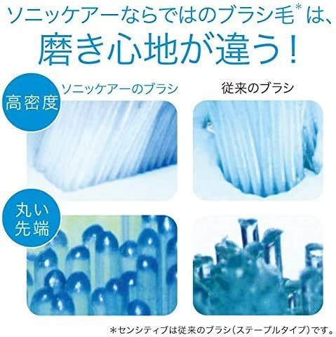 センシティブレギュラー