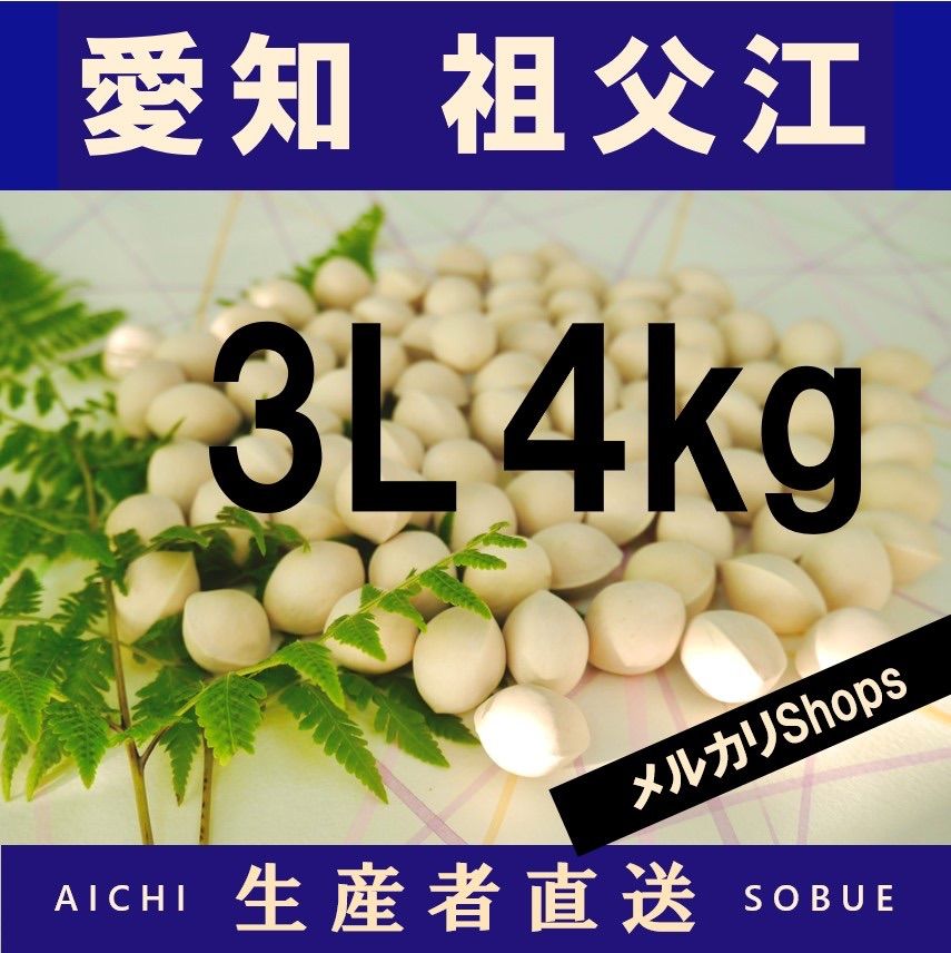 2023年新物　生産者直送 久寿ぎんなん 愛知県 祖父江産 銀杏　3L 4kg