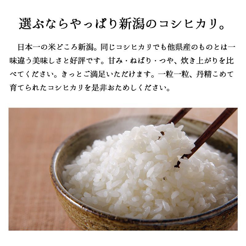 新潟産コシヒカリ（無洗米）10kg お米 10キロ 令和6年産 白米