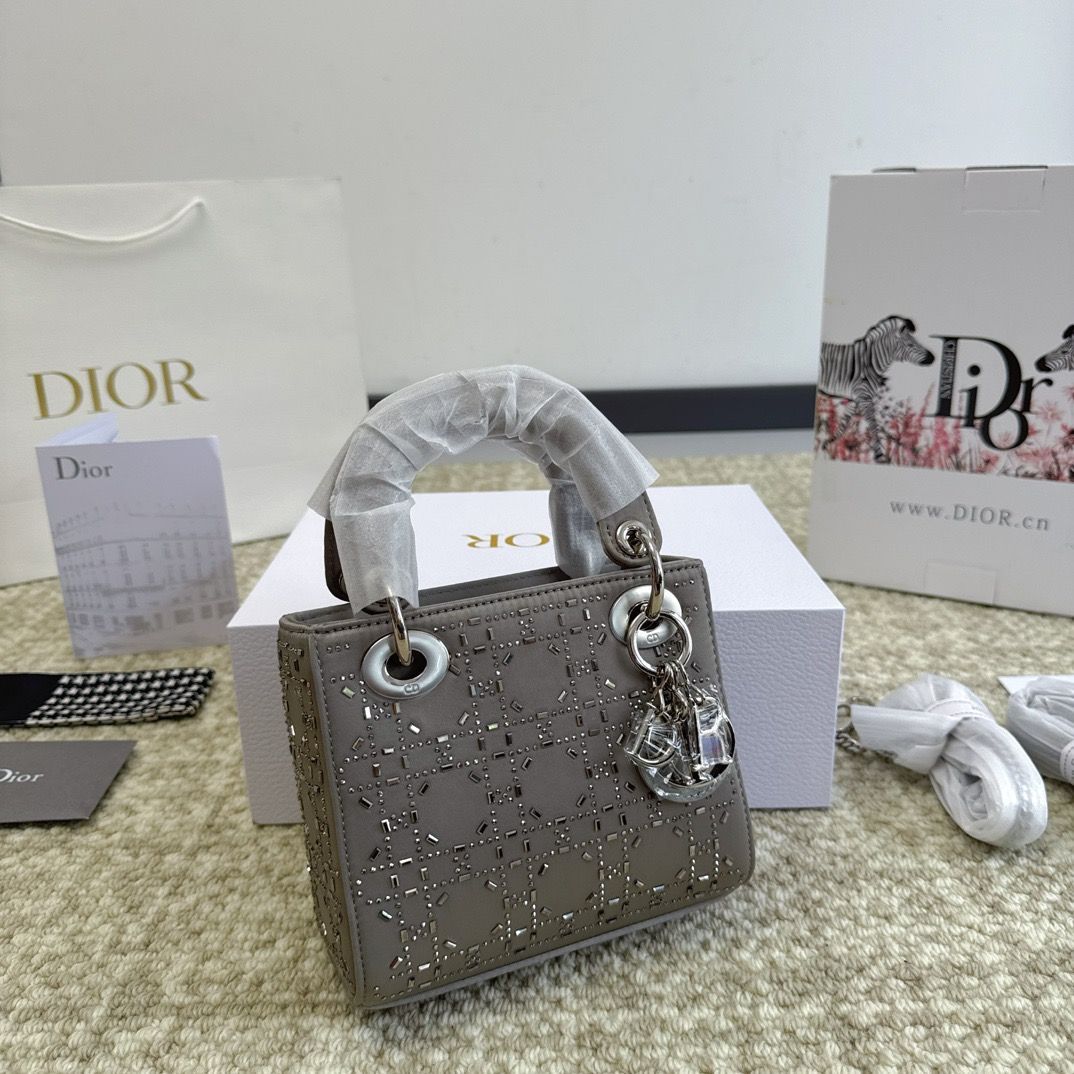 LADY DIOR レディーディオール ハンドバッグ ショルダーバッグ 新品 