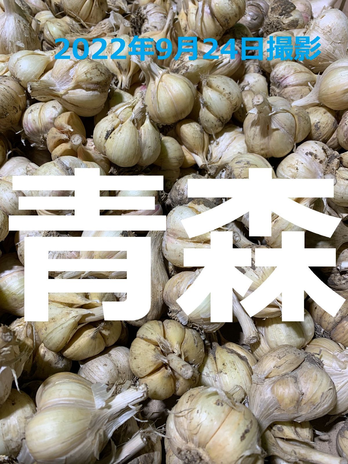 ニンニク青森県産バラニンニク10kgサイズSメイン - 野菜