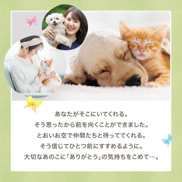 選べる2種