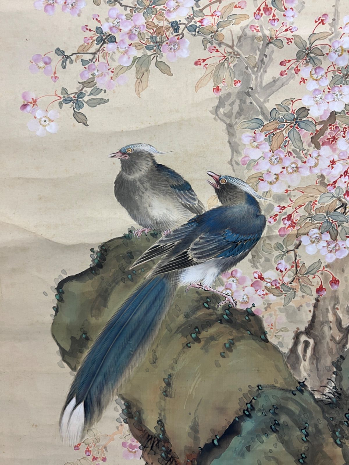 日本画 設色絹本 花鳥画 肉筆 在銘 - メルカリ