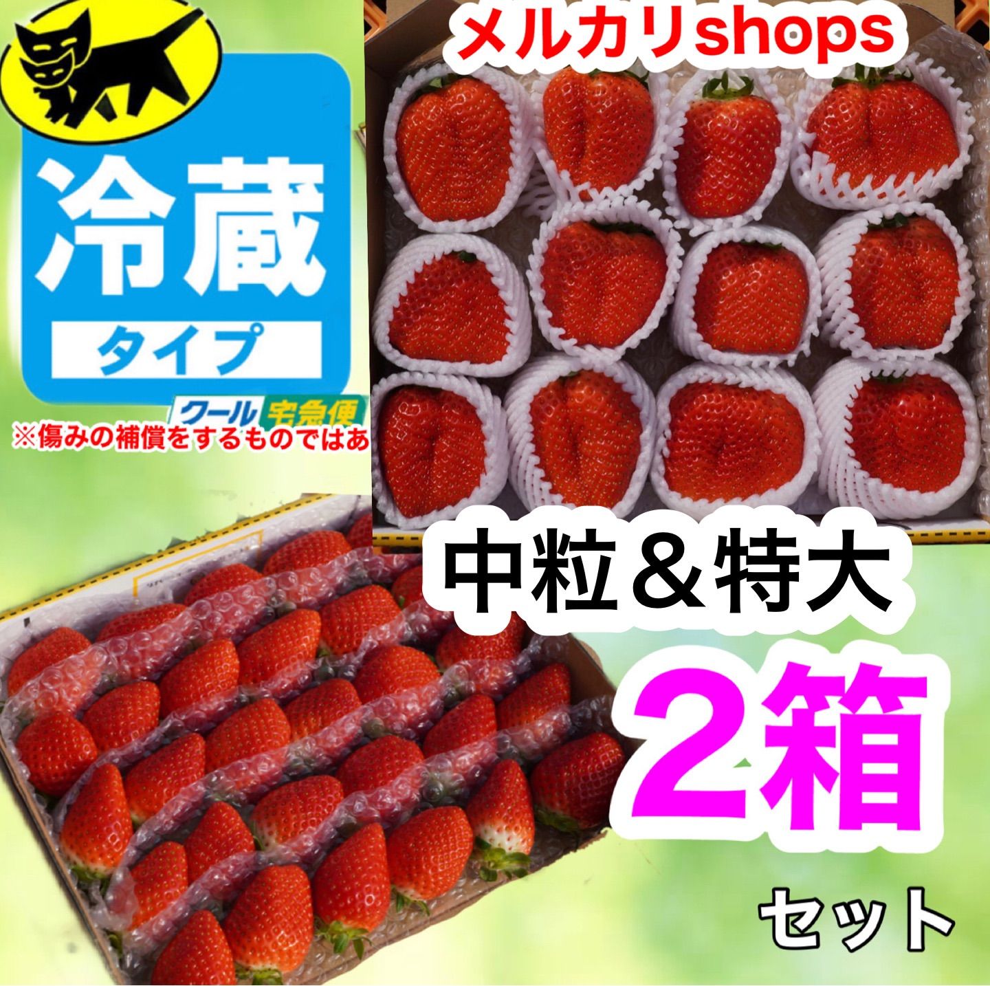 値下げ」新鮮朝採り‼️かんちゃん農園の甘いいちご - 果物