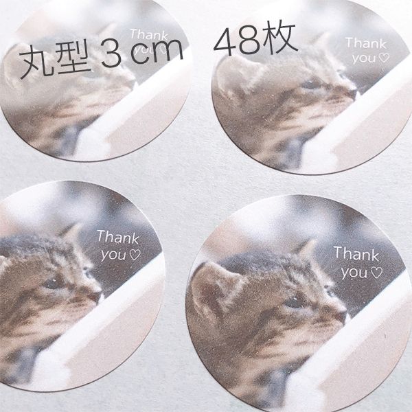 T-0154 猫ちゃん サンキューシール Thank you - らべるショップ♫MEME