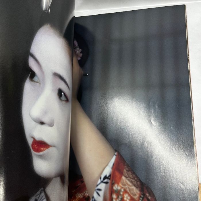 祇園の舞妓 フジアート出版 大型本 京都|人文、社会 祇園の舞妓 フジアート出版 大型本 京都|人文、社会