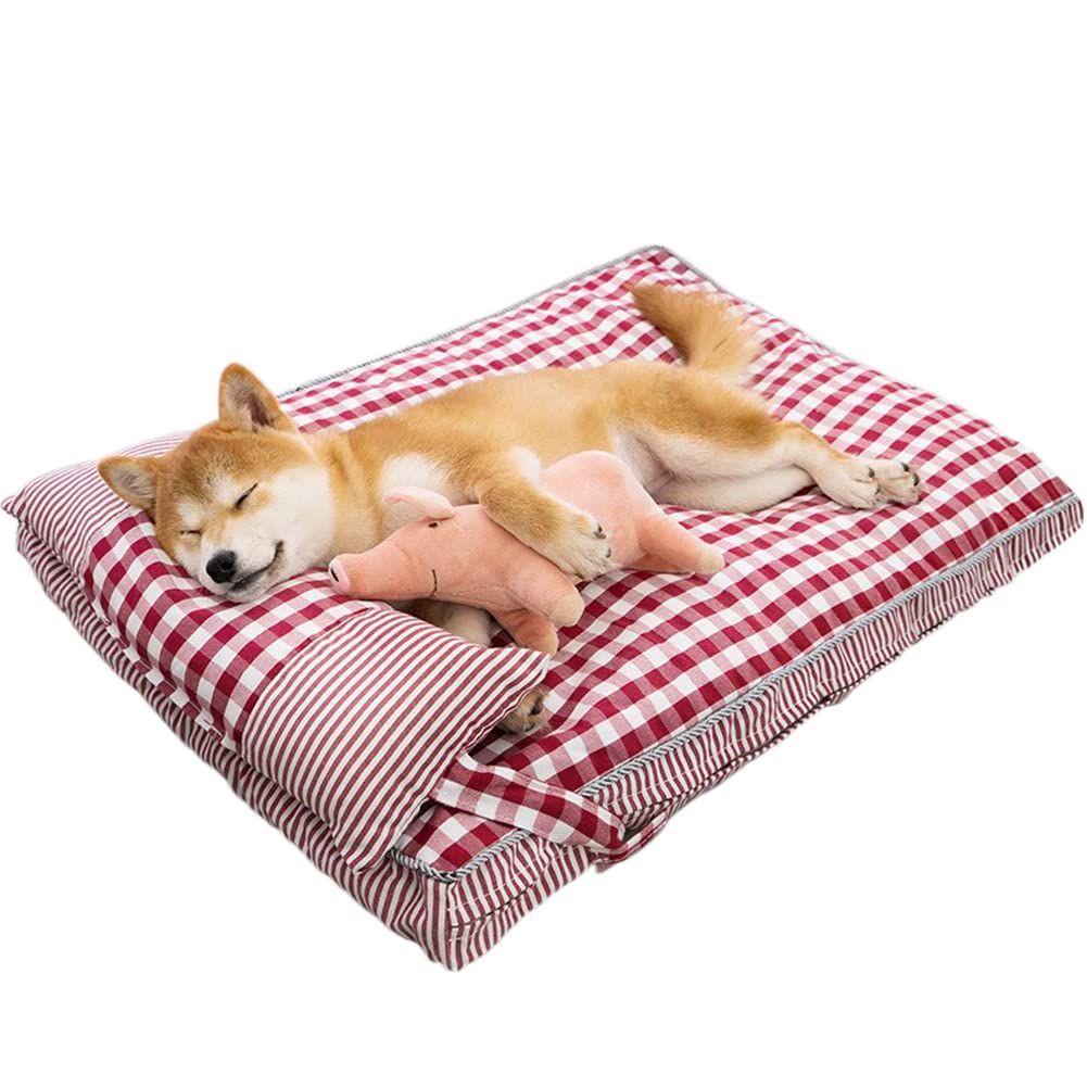 古犬山焼 百賢人図 茶碗